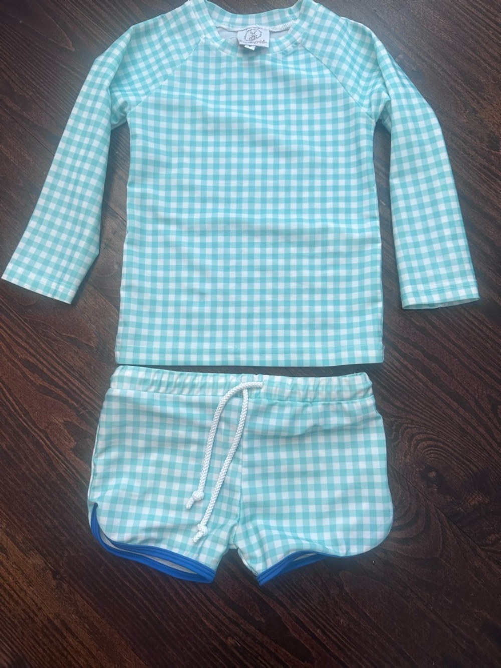 Kids Mint Gingham Long-Sleeve Rash Guard & Swim Shorts Set - Unbranded